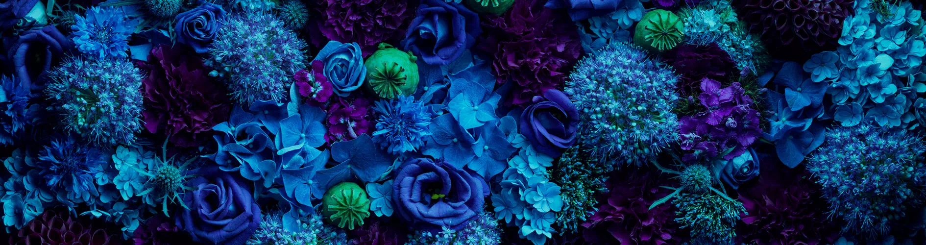 Kwiaty w niebieskich odcieniach