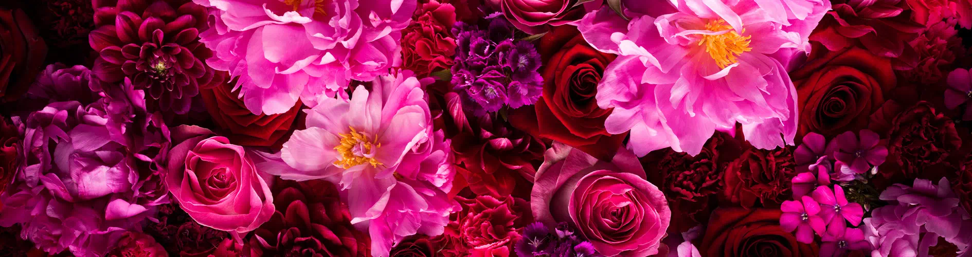 Kwiaty w różowych odcieniach